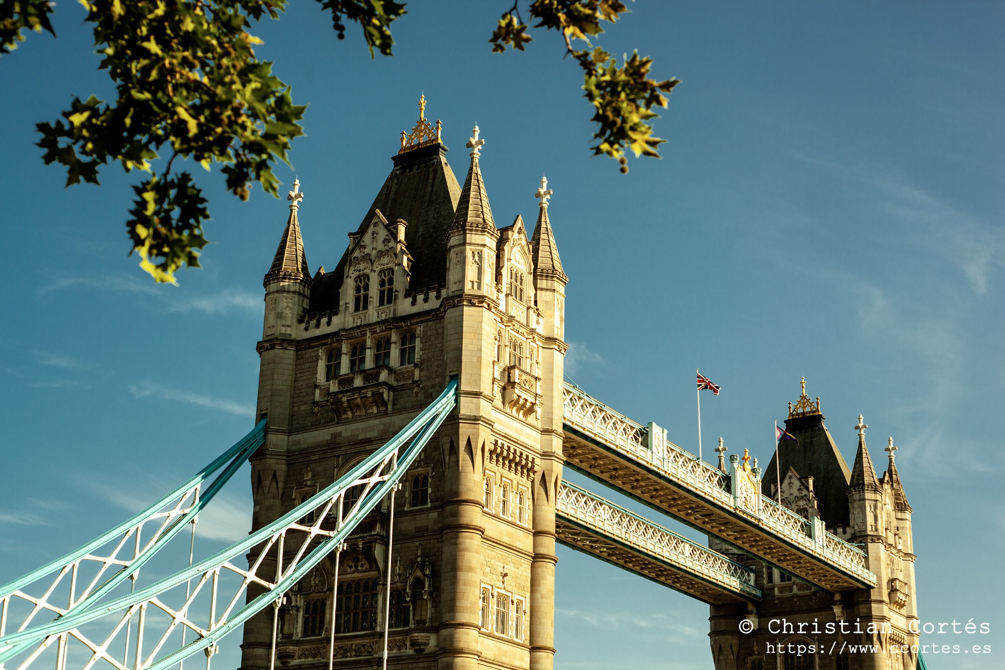 TowerBridge Super Takumar 55mm F1.8 16